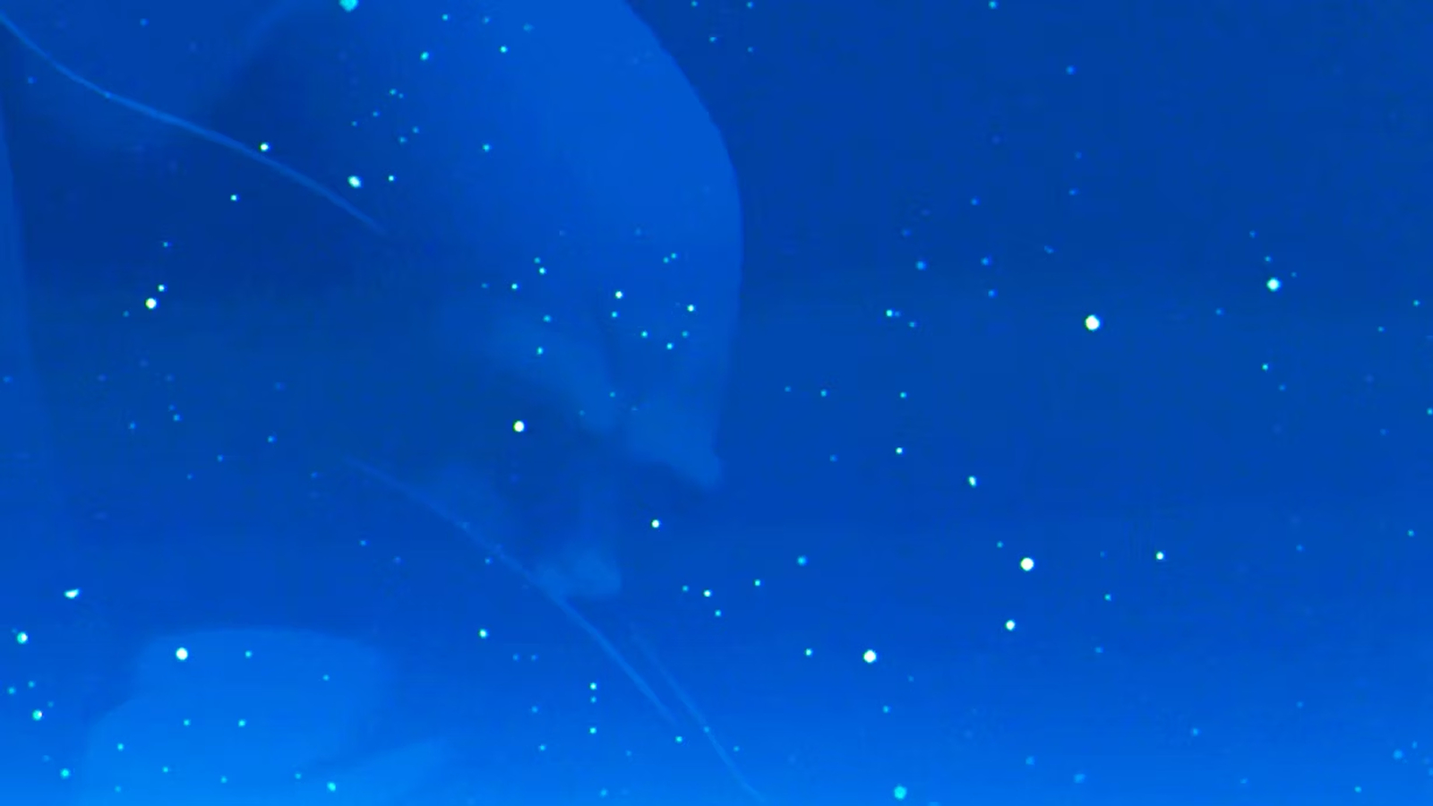 The Watcher's cameo in X-Men '97 Season 1, Episode 5, "Remember It"