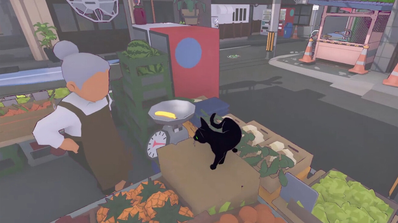 Little Kitty, Big City, a black cat sitting on the top in a mini mart.