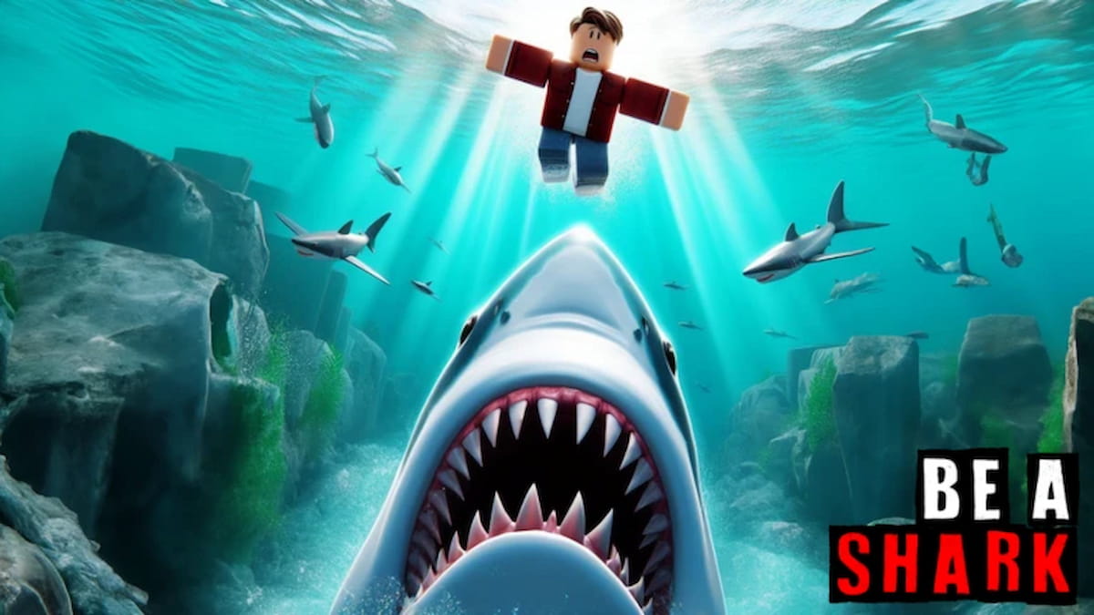 Be a Shark Codes (June 2024) - The Escapist