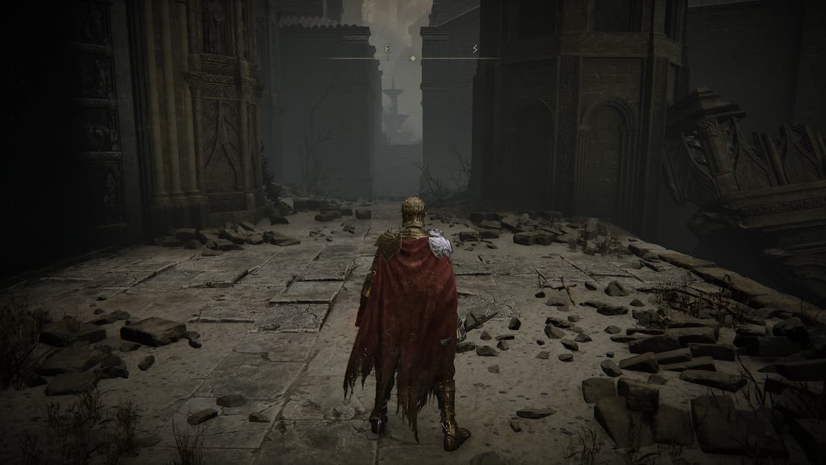 Image of Tarnished looking out of gate in Elden Ring