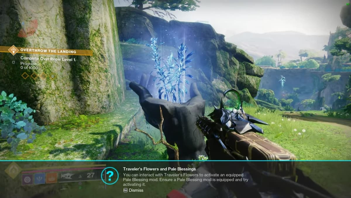 How to Get & Use Luminescent Seed in Destiny 2