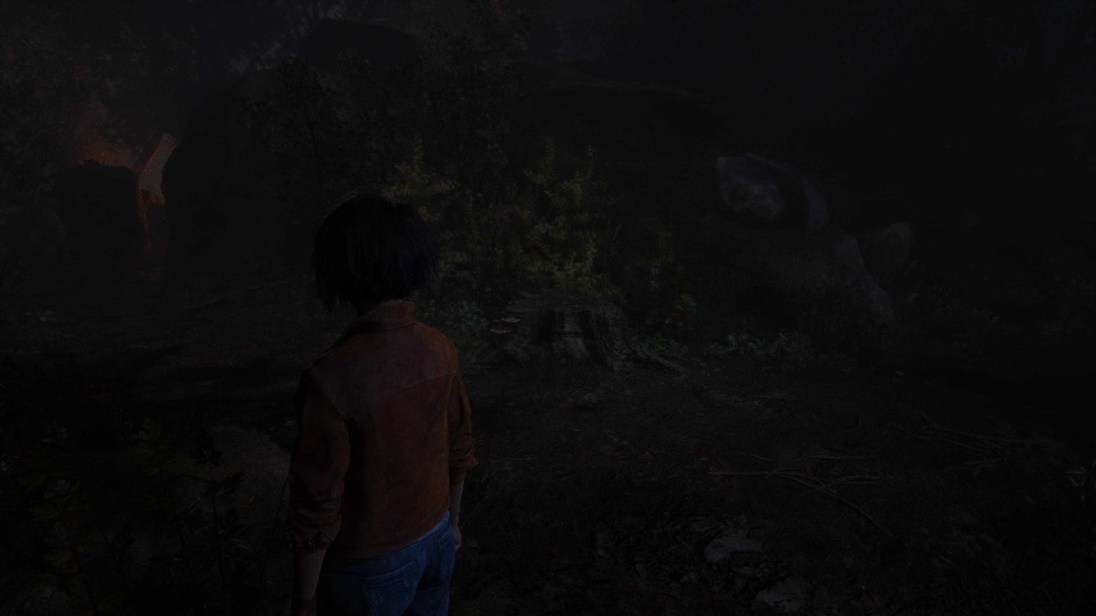 Two paths divert in an image that is so dark you can scarcely see anything