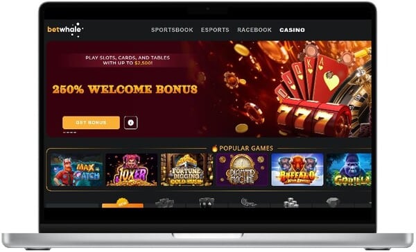 Casinos ohne deutsche Lizenz im Test Hoffnungen und Träume 10 Möglichkeiten, sofort mit dem Verkaufen zu beginnen Casinos ohne deutsche Lizenz im Test