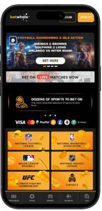 betwhale top sports betting apps