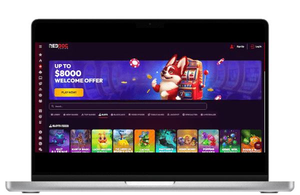 RedDog Casino landing page featuring $800 bonus offer and a range of slots you can play.
