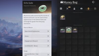 In-game menu from Where Winds Meet showing the Echo Jade item description on the left and the Money Bag currency inventory on the right