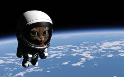 Kitten Space Agency