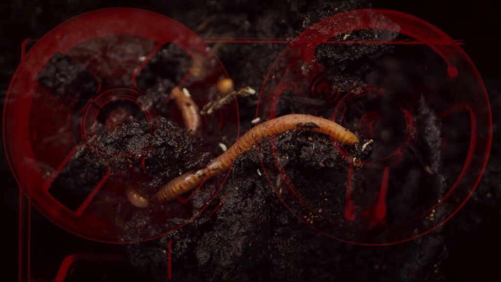 A worm moves through dark soil as red symbols hover in Sleep Awake