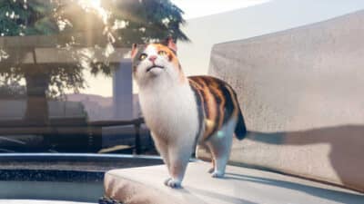 Picture of a cat from GTA V