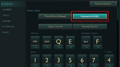 Picture of the in-game- hotkeys setting showcasing where the WASD movement profile setting is.