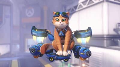 Jetpack Cat in Overwatch Season 1