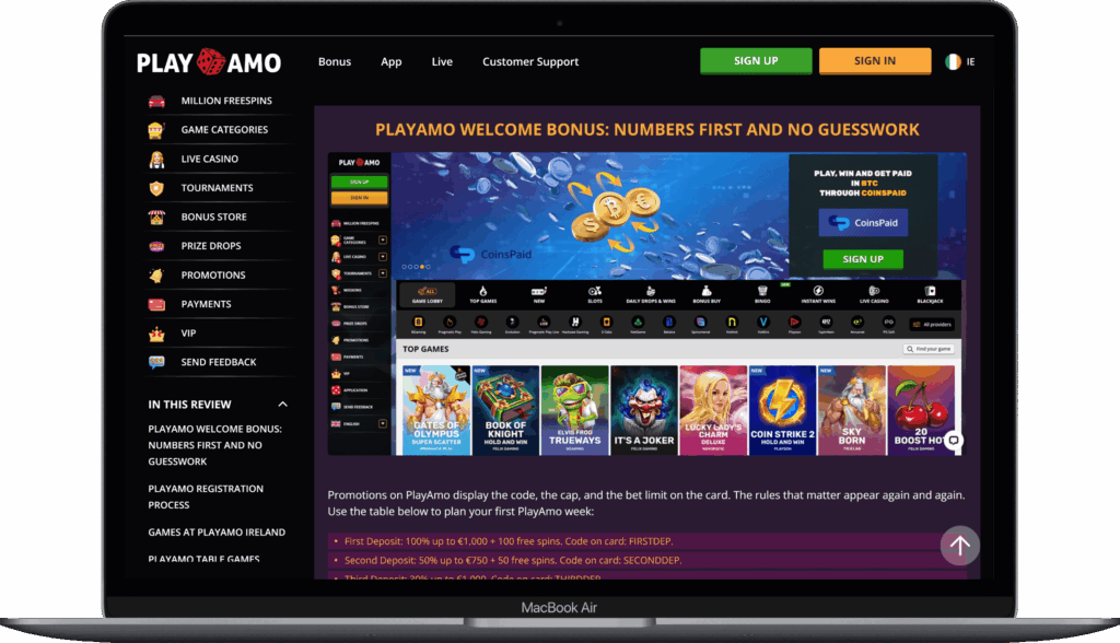 Зарубежное онлайн-казино Playamo